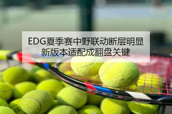 EDG夏季赛中野联动断层明显 新版本适配成翻盘关键
